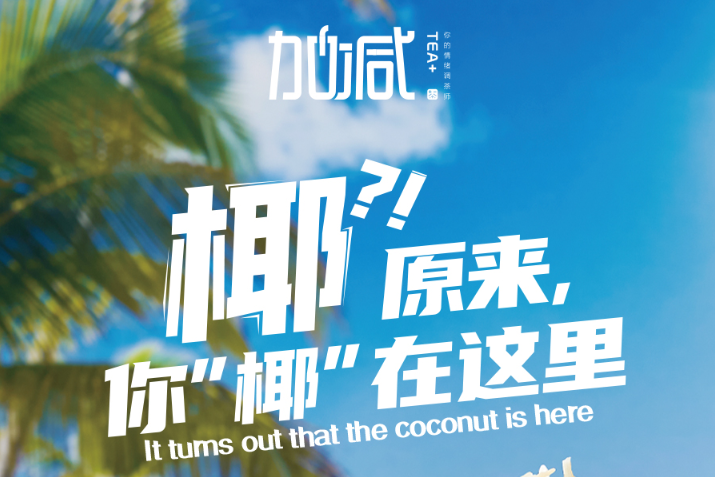 凯发椰子系列新品火爆上市